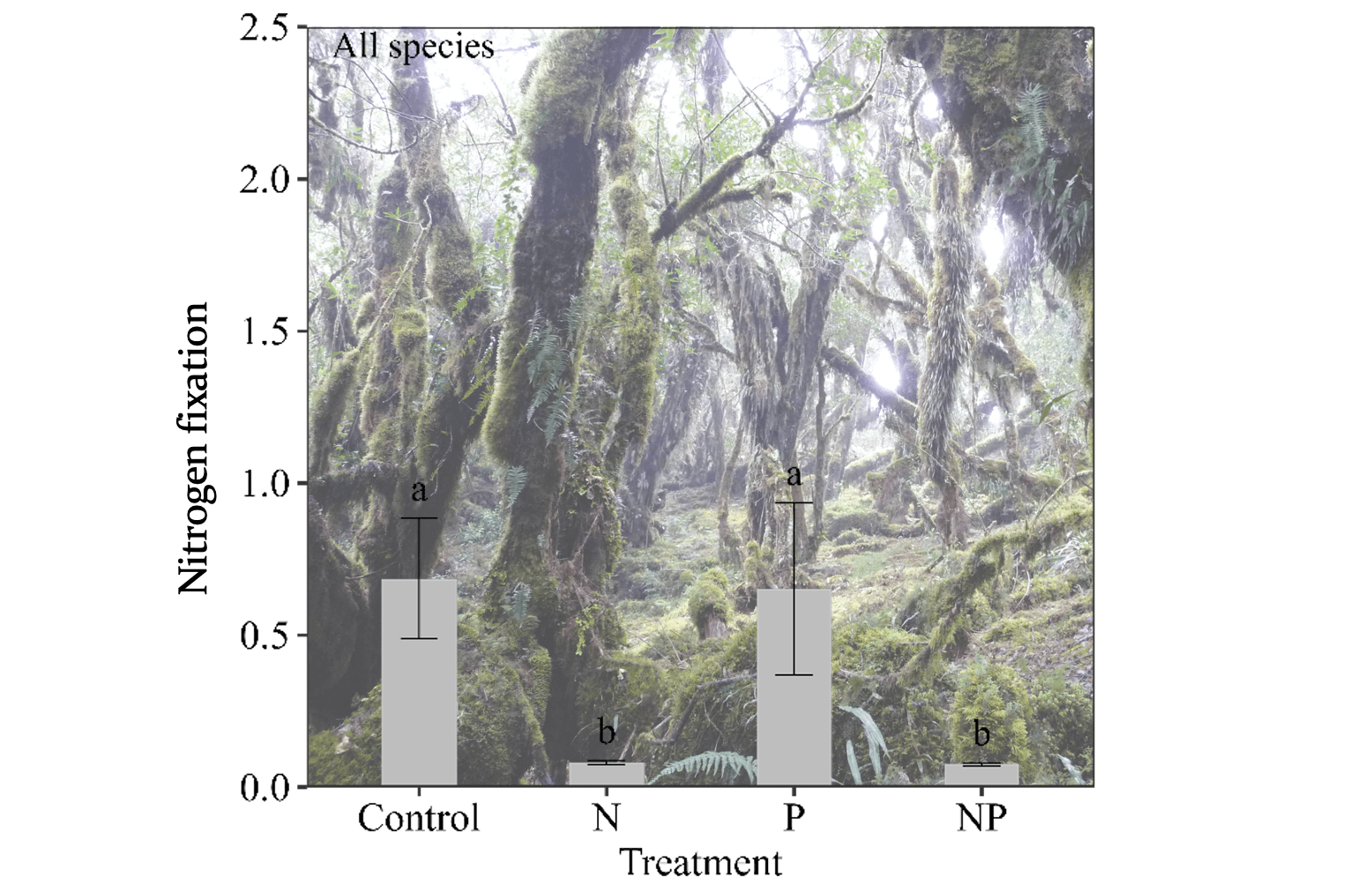 Do Nitrogen and Phosphorus Additions Affect Nitrogen Fixation Associated with Tropical Mosses?