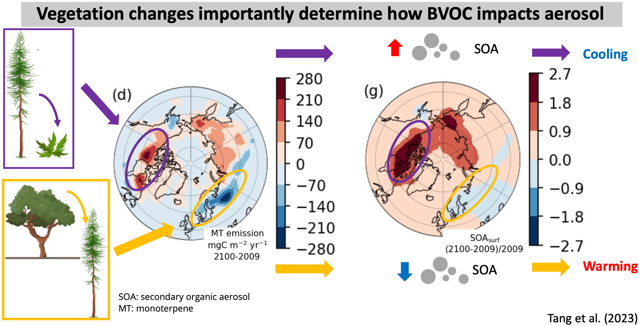 Vegetation changes importantly determine how BVOC impacts aerosol