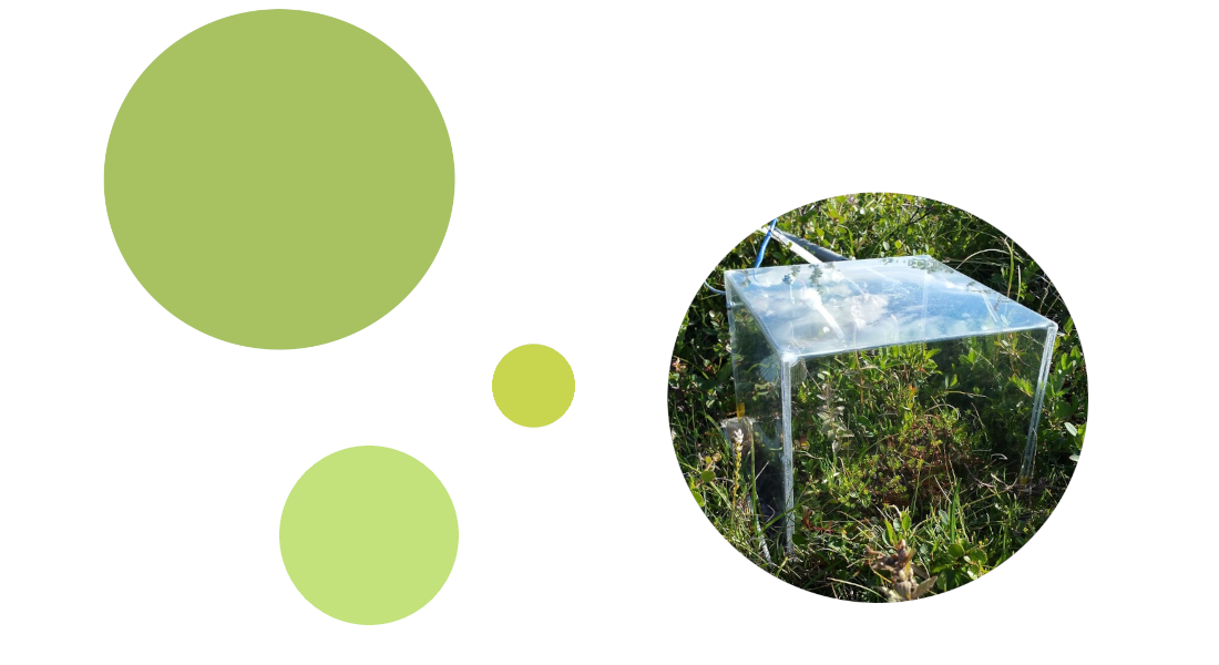 Circles of green and one of the experimental setup