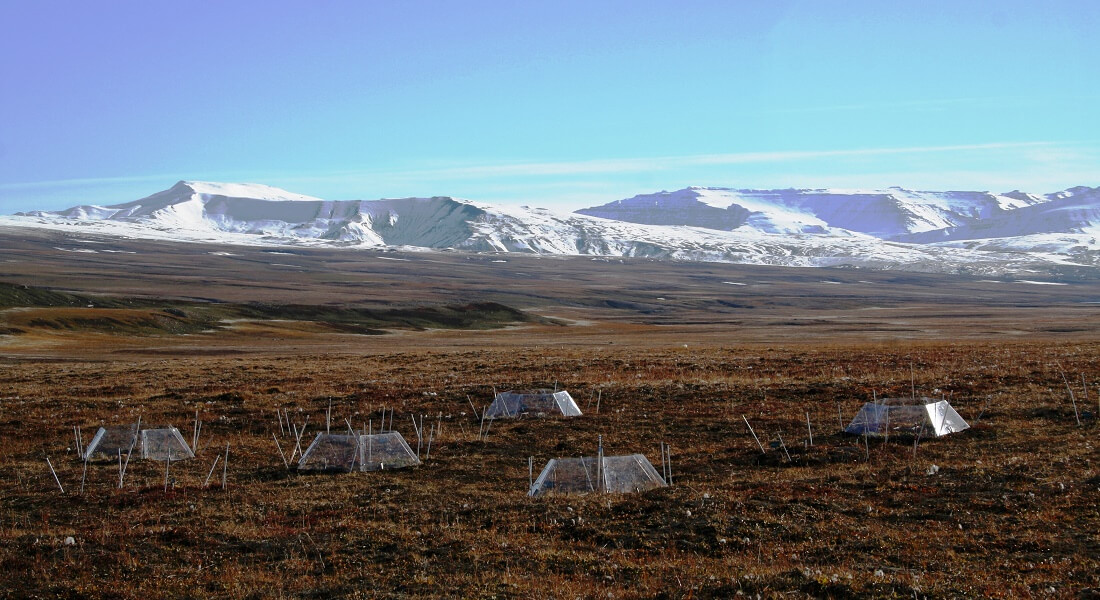 Tundra with the experimental set-up