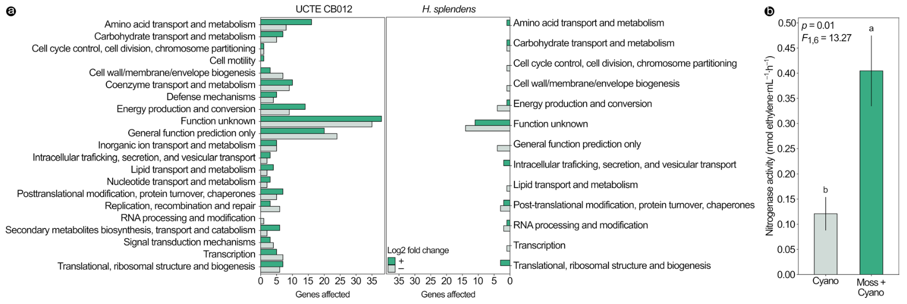 Figure 4 shows the up or down regulated genes of the partners when they grow together and the nitrogen fixation rates of the cyanobacterium.