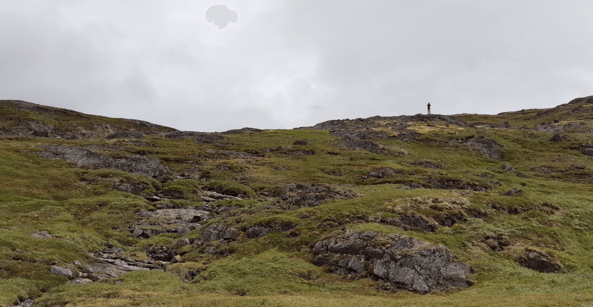 Tundra landscape