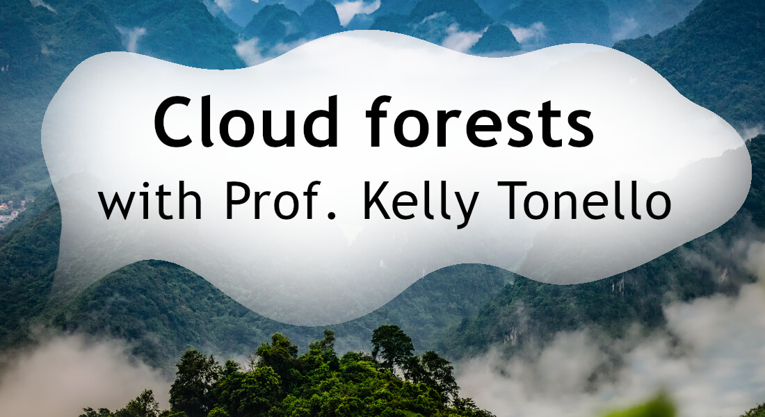 Cloud forests with Prof. Kelly Tonello