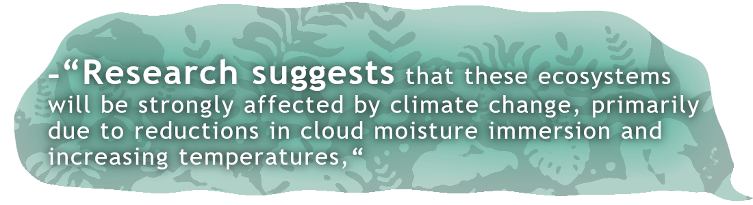 “Research suggests that these ecosystems will be strongly affected by climate change, primarily due to reductions in cloud moisture immersion and increasing temperatures,“