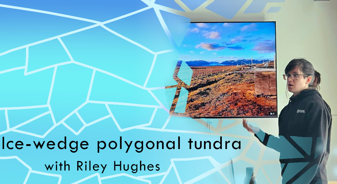  Ice-wedge polygonal tundra with Riley Hughes