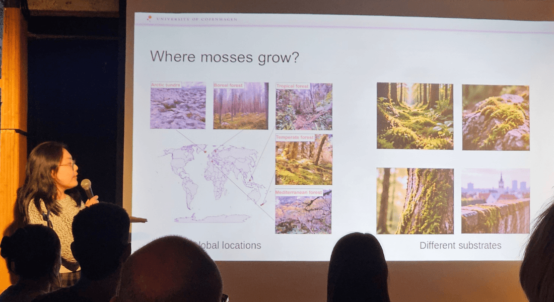 Yunyao Ma talks about the secret life of moss and their global relevance